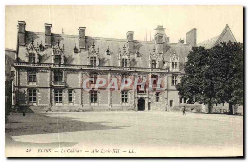 Old Postcard Blois Chateau Louis XII Wing