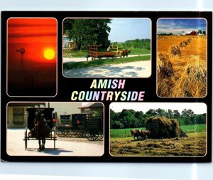 Postcard - Amish Countryside