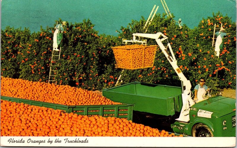 Florida Truckloads Of Oranges Tropical Plantlife Chrome Cancel WOB Postcard 
