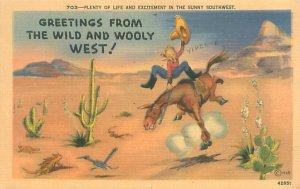 Cowboy on Bucking Horse Greetings from Wild & Wooly West 1950 Linen Postcard