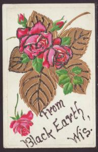 Greetings From Black Earth,WI,Roses,Embossed Postcard 