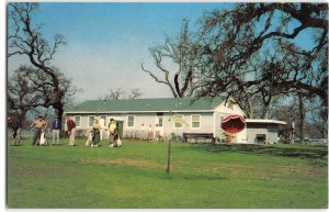 Stockton, California SWENSON PARK Golf Course 1950s Chrome Vintage Postcard