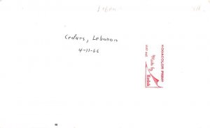 Cedars, Lebanon , Carte Postale writing on back 