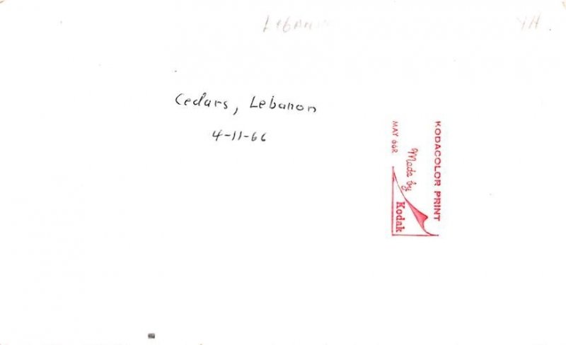 Cedars, Lebanon , Carte Postale writing on back 