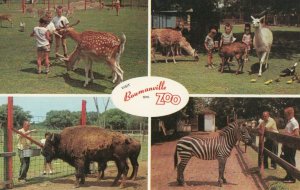 BOWMANVILLE , Ontario, 1950-60s ; Zoo ; 4 view postcard