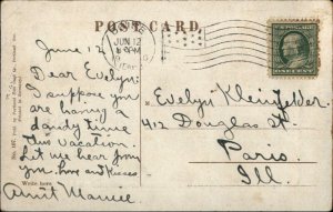 Miners Mule Copper Mining in Idaho c1910 Postcard