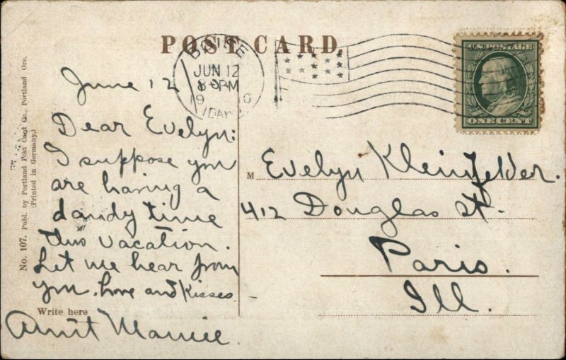 Miners Mule Copper Mining in Idaho c1910 Postcard