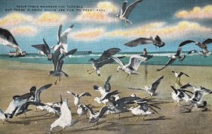 Vintage Postcard Feeding Florida Sea Gulls Terible Manners During Feed Time Fla.