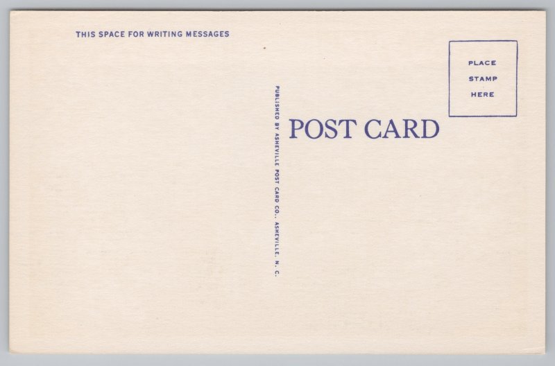 Linen~Virginia~Couple Walking Through Apple Blossom Trees~Vintage Postcard