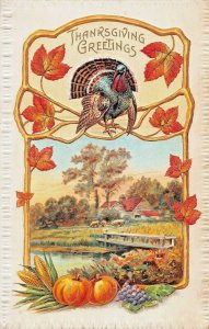 THANKSGIVING GREETINGS~COLORFUL TURKEY-AUTUMN SCENE~EMBOSSED MEEKER POSTCARD