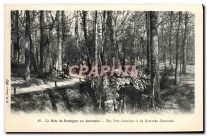 Old Postcard The Bois de Boulogne in Autumn Du Pre Catelan is the Grand Cascade