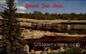 Spruce Tree Ruin - Mesa Verde Park, Colorado CO