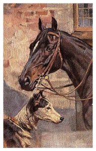 Dog   Horse and Dog, signed