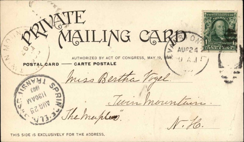 Evanston Illinois IL Multi View University c1900 Private Mailing Card