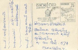 Entier Postal Stationery Postal Sri Lanka Ceylon Lion