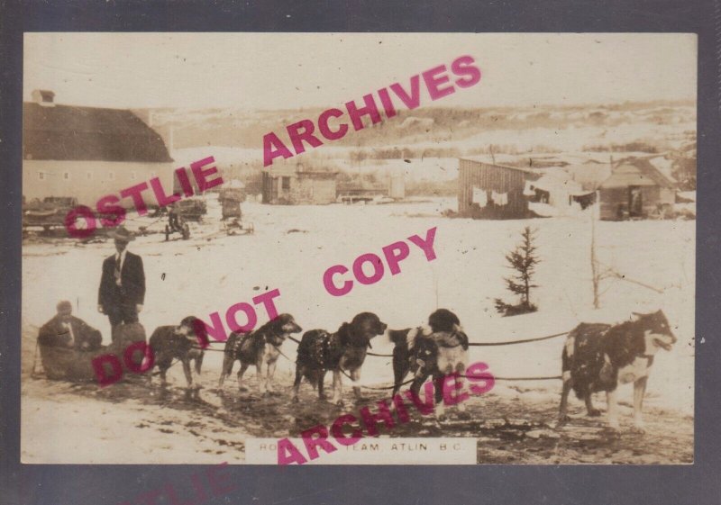 Atlin BC CANADA RPPC c1920s ROYAL MAIL TEAM Mailman DOG SLED Dogs Posing