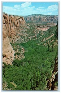 c1950's Betatakin Canyon Navajo National Monument Arizona AZ Vintage Postcard