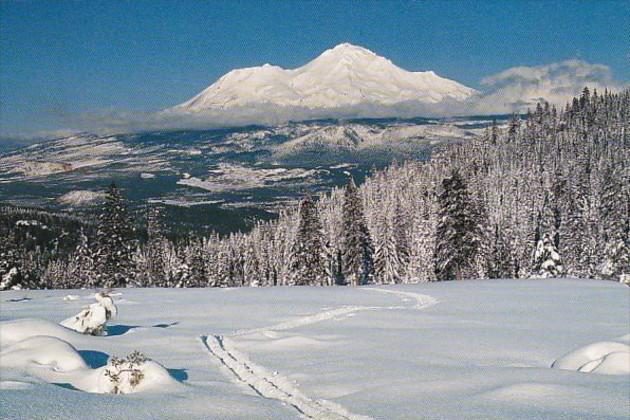 California Mount Shasta In Winter