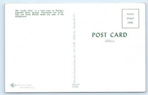 Lucky Palm - Silver Springs FLORIDA Postcard