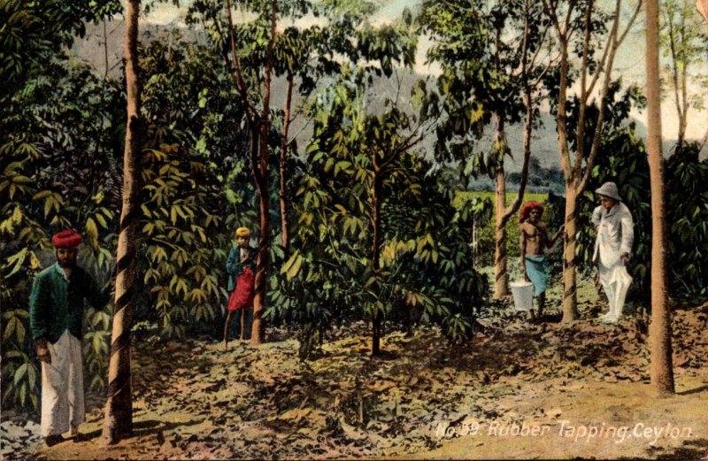 Sri Lanka Ceylon Rubber Tapping