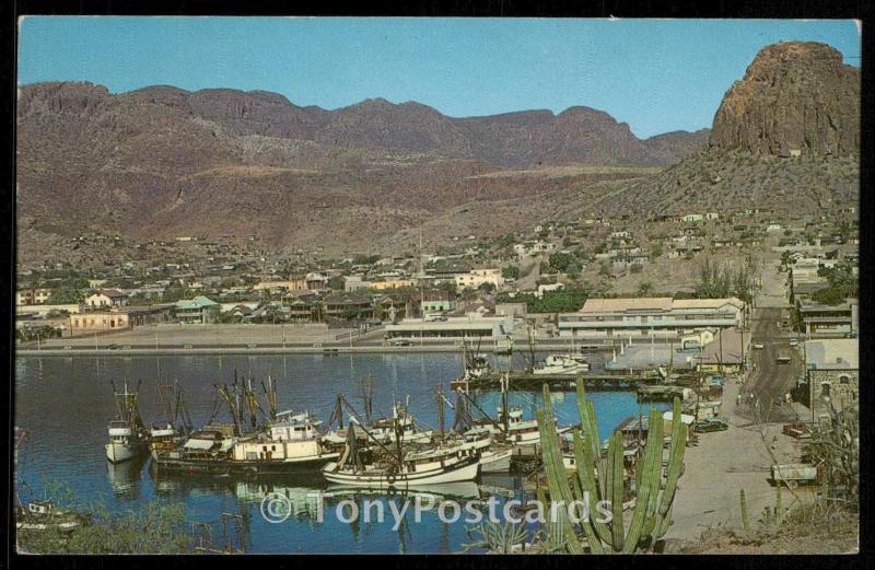 GUAYMAS SHRIMP FLEET