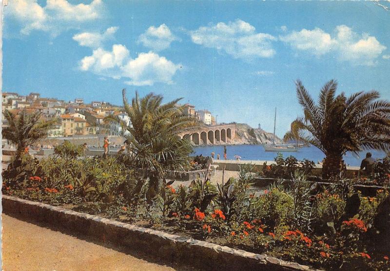 BR1266 Banyuls Sur Mer Promenade du front de Mer  france