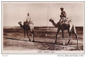 RP ; Camel Riders , Aden , Yeman , 10-30s