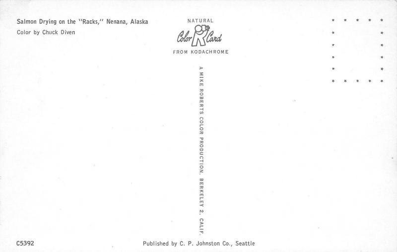 Nenana Alaska~Salmon Fish Drying on the Racks~1950s Postcard