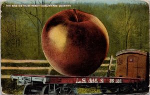 Huge Apple Exaggerated Fruit Rail Car LS & MS Railway Postcard H50