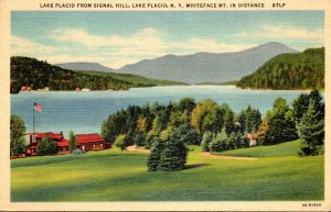 New York Adirondacks Lake Placid From Signal Hill 1952 Curteich