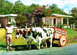 Costa Rica Carreta Con Bueyes Ox Cart