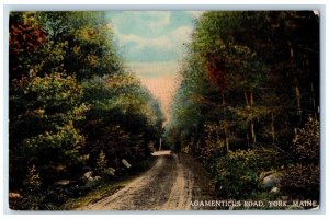 c1910 Trees, Agamenticus Road York Maine ME Unposted Vintage Postcard