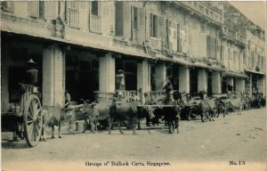 PC CPA SINGAPORE, GROUPS OF BULLOCK CARTS, VINTAGE POSTCARD (b4330)