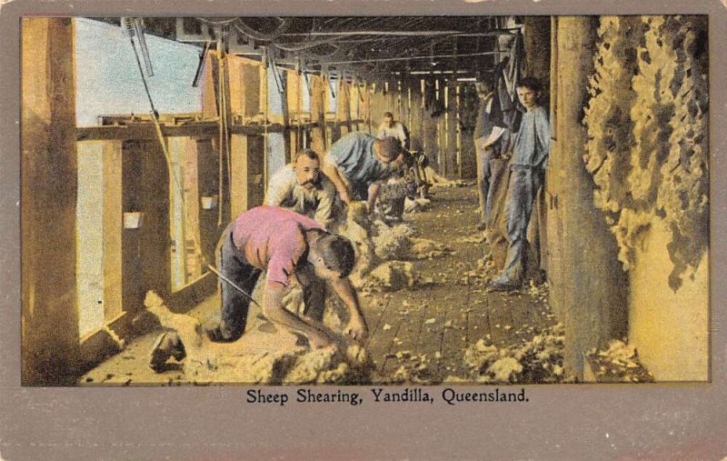 Yandilla Queensland Australia Sheep Shearing Vintage Postcard AA41240