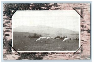 c1910 Pastoral Scene and The Mink Hills Warner NH Unposted Antique Postcard