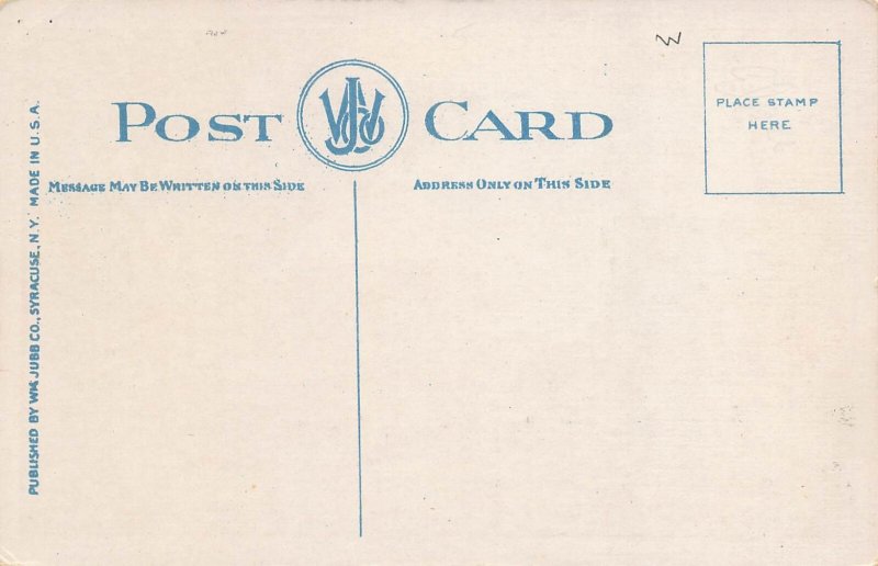 Cayuga Street Cars Fulton New York 1920s postcard