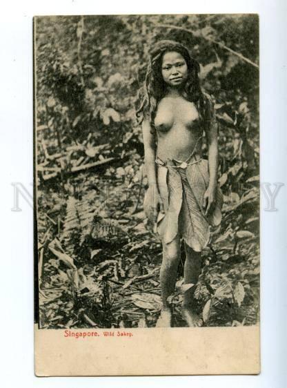 147490 SINGAPORE Nude girl Wils Sakey Vintage postcard