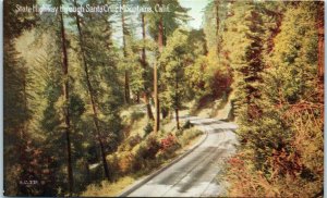 1910s State Highway Through the Santa Cruz Mountains California Postcard