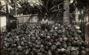 Singapore - Black Man Sitting on Pile of Coconuts c1920 Real Photo Postcard