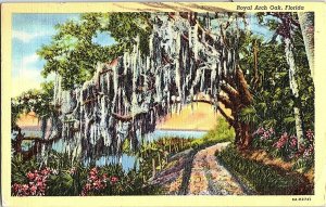 Royal Arch Oak Florida c1944 Postcard