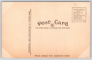 Wichita Kansas~YMCA Building~Vintage Postcard