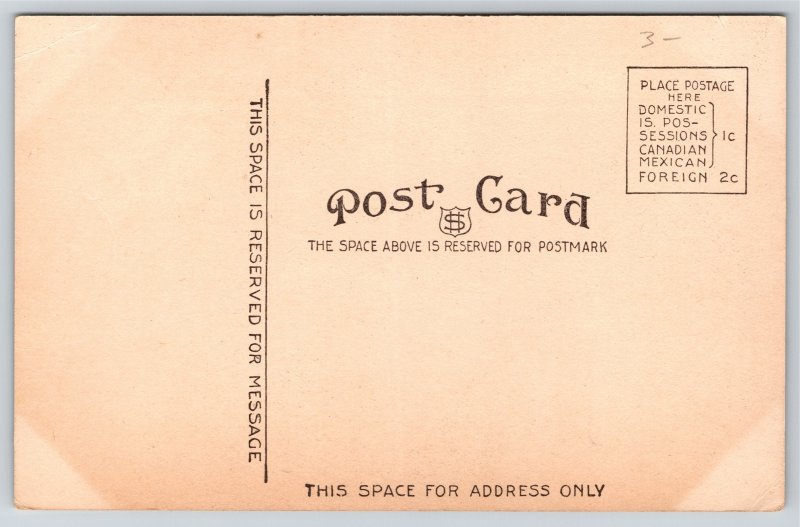 Wichita Kansas~YMCA Building~Vintage Postcard