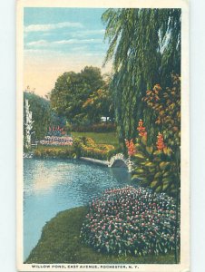 W-border NATURE SCENE Rochester New York NY AD6967