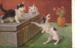 PC CATS, TWO CATS AND A DOG, Vintage Postcard (b47170)