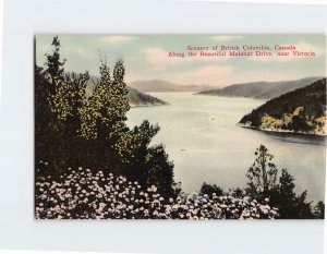 Postcard Along the beautiful Malahat Drive Canada
