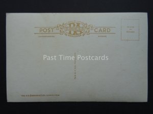 Somerset PORLOCK HILL - Old RP Postcard by R.A. Postcards Ltd