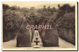 Old Postcard Lucon Public Garden Allee of Its