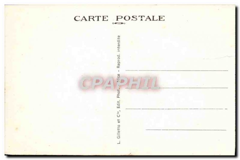 Old Postcard Nice Albert 1st Gardens