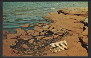 PEI Prince Edward Island One of the many lobster traps washed ashore - Chrome