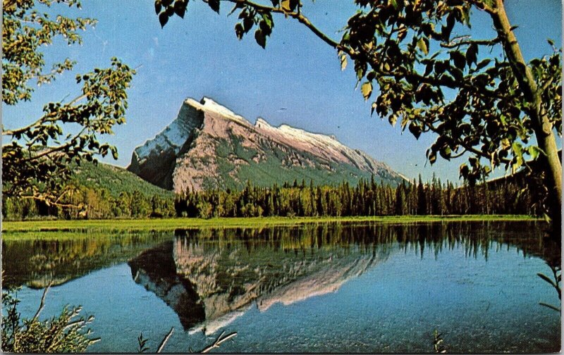 Mirror View Mount Rundle Vermillion Lake Banff Natl Park Alberta Canada Postcard 